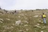 DSC00022.jpg