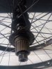 IMG_20200426_112653_0.jpg