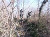 DSCN1268.jpg