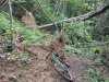 IMG20200518190624.jpg