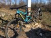 Santa cruz bronson