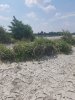 20200530_150852.jpg