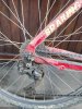 cannondale2.jpg