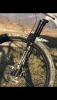 Formula selva S 29”