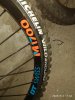 IMG_20200804_170404.jpg