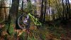 Nukeproof Scout 275