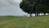 IMG_20200802_112128.jpg