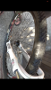 BF31D233-2AD5-431A-8EC5-4AE2520B0330.png