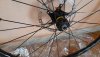 20200923_120755.jpg