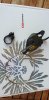 Comando Sram xx1 eagle 12 vel.