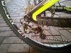 IMG_20201003_162925.jpg