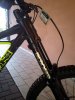 IMG_20201003_162916.jpg