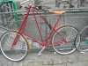 DSC01679.jpg