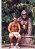 Gorilla.jpg