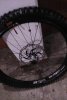 IMG_20201005_1951500.jpg