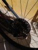 IMG_20201009_131435.jpg