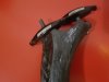 20201017_002004.jpg