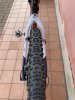 6F6A5D17-60D4-4A40-964A-1E4AD52426F4.jpeg