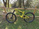 Rocky Mountain Altitude msl 790 "rally edition"