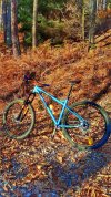 ragley bluepig 160mm smembro