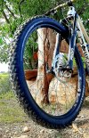 20201104_113627.jpg