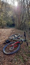 20201107_142033.jpg