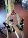 IMG_20201108_153441.jpg