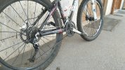 IMG_20201106_103307.jpg