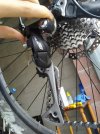 IMG_20201115_142808.jpg