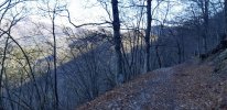20201121_110847.jpg