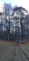20201121_121807.jpg