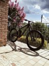 TREK Remedy 8 con Fox dhx2 (L)