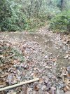 IMG_20201117_085303.jpg