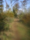 DSCF9484.JPG