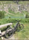 YT decoy cf pro race