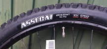 IMG_20201127_163133.jpg