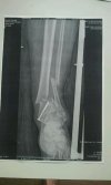 IMG-20130720-WA0005.jpg