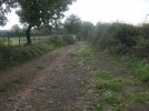 DSCF9449.JPG