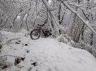 IMG_20201202_141911.jpg