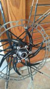 Ruote da 29 9mm cobalt 2
