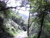 colli berici vicenza.jpg