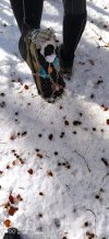 IMG-20201213-WA0013.jpg
