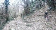 20201215_143256.jpg