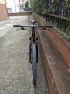 IMG_20201003_155015.jpg