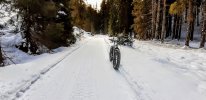 20201219_090427.jpg