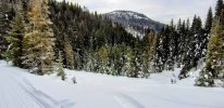 20201219_094232.jpg