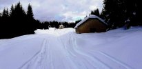 20201219_100309_fx.jpg