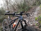 IMG_20201225_115201.jpg