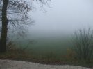 DSCF9667.JPG
