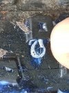 IMG20210101122503.jpg